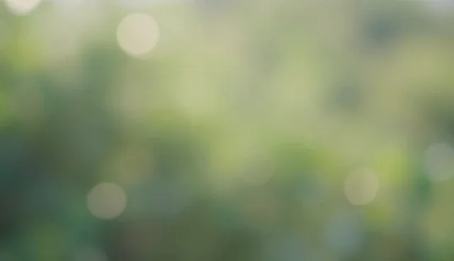 直播运营在品牌活动中的场景化应用分析