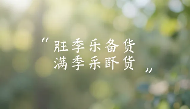 互动设计在活动策划中的场景应用分析